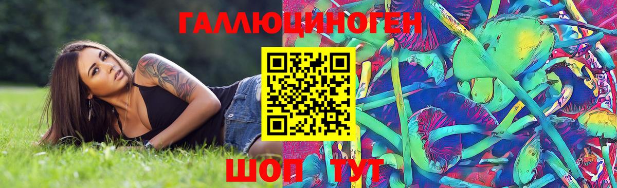 Псилоцибиновые грибы Psilocybe Владикавказ