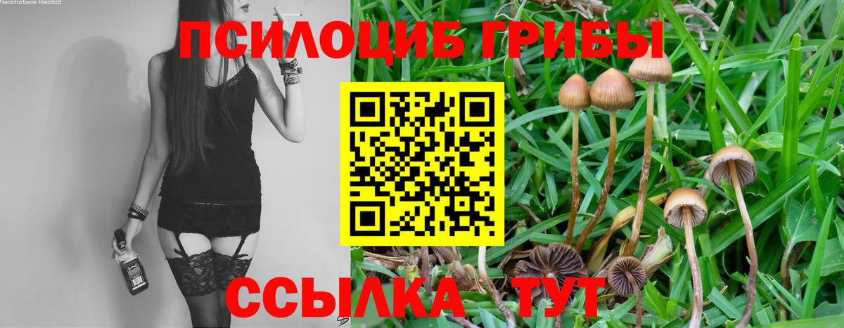Галлюциногенные грибы MAGIC MUSHROOMS  Вход с VPN  Владикавказ  Галлюциногенные грибы Psilocybine cubensis 